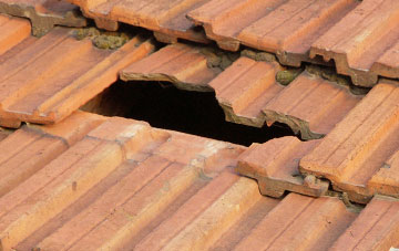 roof repair Waskerley, County Durham